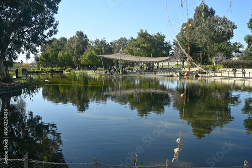 A pond in a city park
