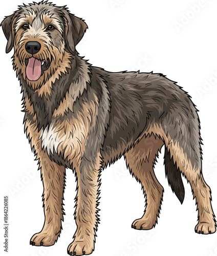 Otterhound dog standing happy panting cute vector illustration