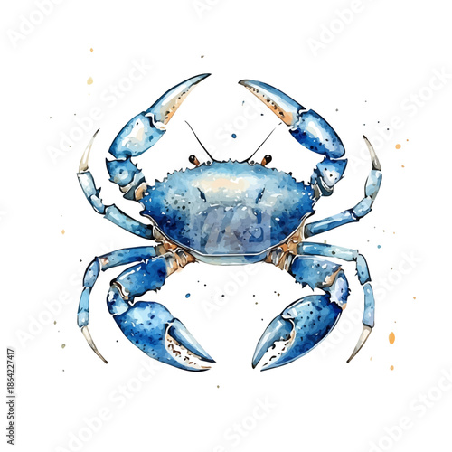 Crab, watercolor illustration featuring soft shadows and luminous, isolated on a white background.