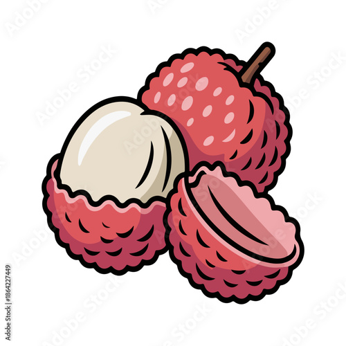 Fresh lychee fruit vector illustration with peeled skin and white pulp isolated on white background