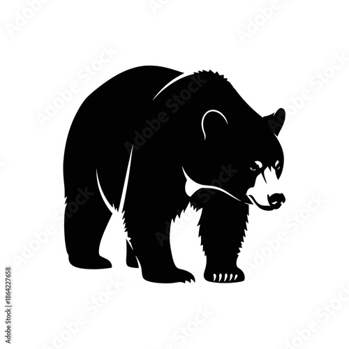 silhouette of a bear