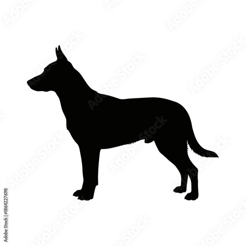 Black dog isolated on white background