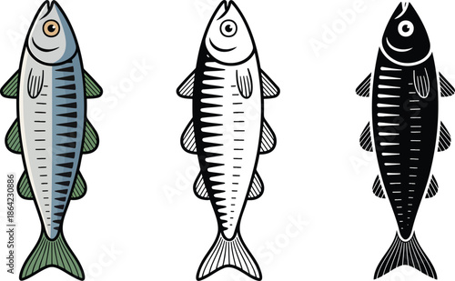 Sardine silhouette & Outline and illustration set isolated on transparent background