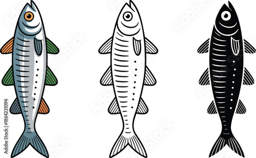 Sardine silhouette & Outline and illustration set isolated on transparent background