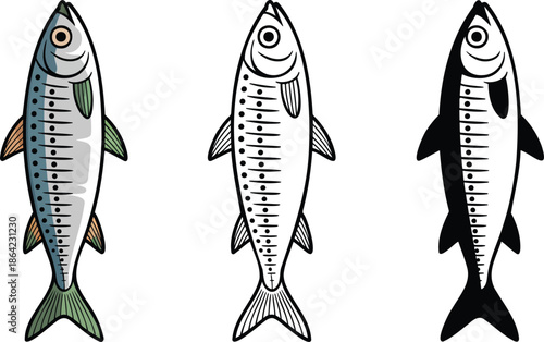 Sardine silhouette & Outline and illustration set isolated on transparent background
