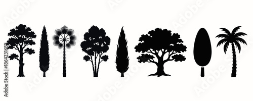 Set of Tree Silhouettes Collection: Black Icons of Oak, Palm, Cypress, and Birch Trees 