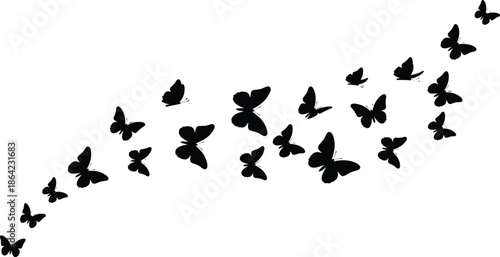Silhouettes of butterflies in ascending flight pattern, black figures, dynamic composition, transparent background, nature and transformation illustration