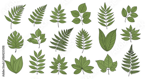 Large collection of diverse green leaves and fern fronds showing various botanical shapes and patterns on a clean white background for art.