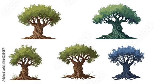 Set of five ancient olive trees with twisted gnarled trunks and lush green foliage shown in different artistic styles and colors for landscape.