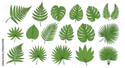 Wide variety of tropical leaf illustrations including ferns, monstera, and palm fronds in shades of green for nature-themed design projects.