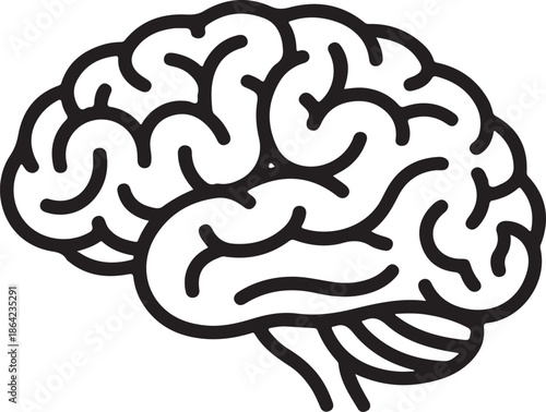 Detailed black outline illustration of a human brain on a clear white background representing thought and intellect
