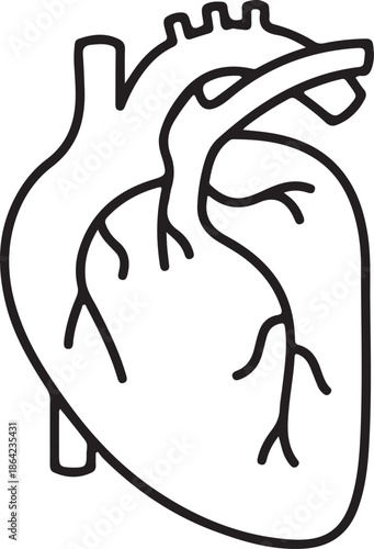 Detailed black outline illustration of a human heart on a clear white background representing life and health