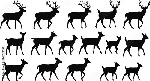 Black, and, white, silhouette, set, of, fifteen, deer, including, bucks, with, antlers, does, and, fawns, in, various, walking, motion, poses