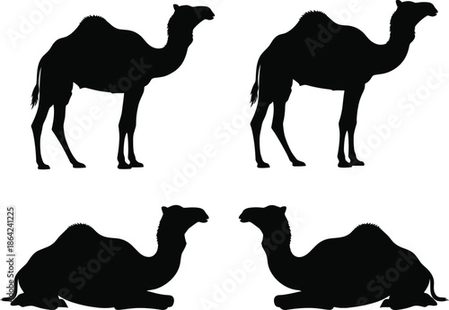 Black, and, white, silhouette, set, of, four, camels, including, standing, and, reclining, poses, in, a, minimalist, grid, for, desert, animal, icons