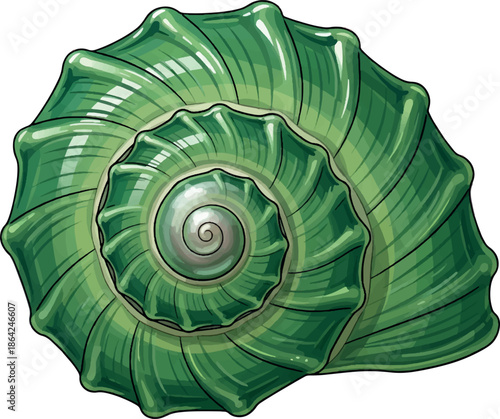 Green Nautilus Shell Ocean Spiral Sea Shell Symbol.