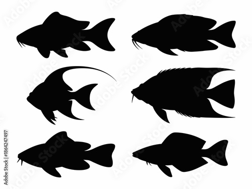 Collection of fish silhouettes isolated on white background, Vector, illustration