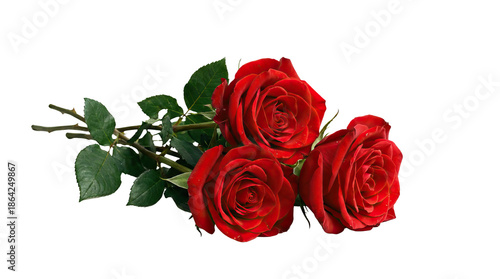 Three vibrant red roses with lush green leaves arranged elegantly on a white background product shot isolated