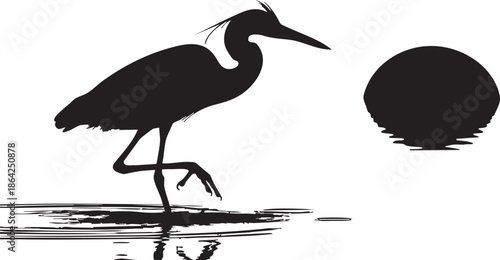 Black Silhouette of Long Necked Wading Bird with Reflection in Calm Evening Water