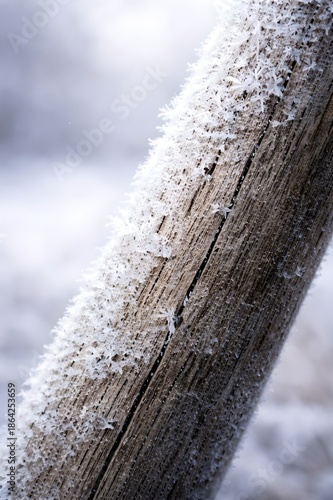 Frost-Covered Wooden Pole, Winter Close-Up Texture