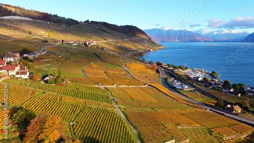 Lavaux vineyard terraces aerial view by Lake Geneva at sunset in autumn. Bourg-en-Lavaux, Canton of Vaud, Switzerland.