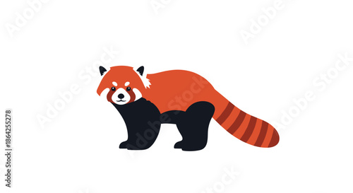 Simple and cute illustration of an adorable red panda standing and looking forward in a flat vector style on a white background.