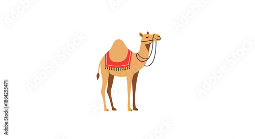 A simple and elegant cartoon illustration of a dromedary camel with one hump and a red saddle on a white background.
