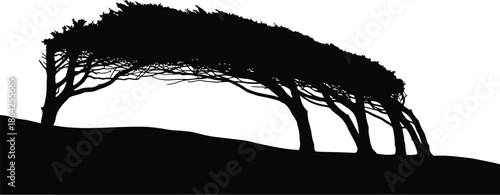 Striking silhouette graphic illustrating a row of wind-swept trees dramatically leaning to the right across a dark, sloping ground against a bright white backdrop emphasizing natural environment