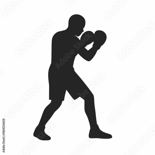 Boxer In Fighting Stance With Gloves