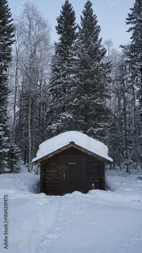 small wooden house in the mountains