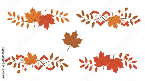 autumn leaves and branches on white background
