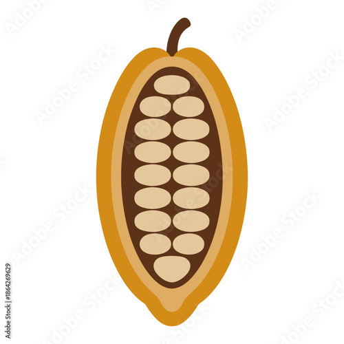 flat color vector illustration of a cocoa pod cross-section with exposed seeds, representing chocolate production and agricultural harvest