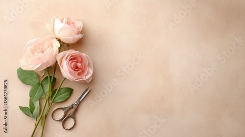 Wallpaper Mural Close up of a pink rose with a pair of scissors next to it. Valentines day. Torontodigital.ca