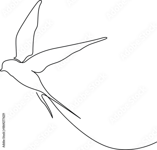 Bird in flight Vector