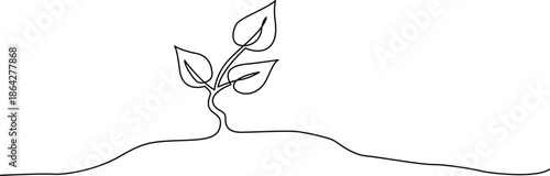 Small plant sprouting from ground Vector