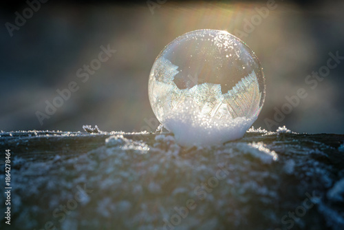 Frozen bubble in nature. A beautiful macro shot of nature in winter. Concept for environment, water and frost.