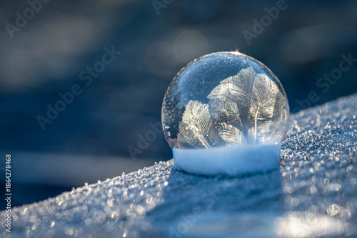 Frozen bubble in nature. A beautiful macro shot of nature in winter. Concept for environment, water and frost.