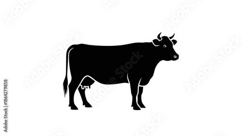 Silhouette of a Black Cow Standing Still on a White Background.