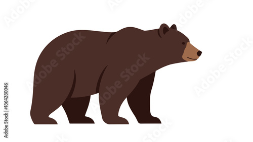 Brown Bear Standing Profile View Illustration.