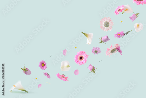 Colorful Spring flowers on a pastel green background.