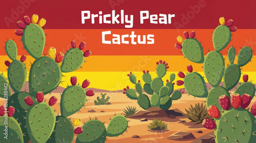 Prickly pear cactus spreads across sandy soil in the Chihuahuan Desert, featuring flat pads, sharp spines, and seasonal fruit adapted to extreme arid conditions