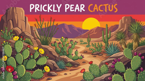 Prickly pear cactus spreads across sandy soil in the Chihuahuan Desert, featuring flat pads, sharp spines, and seasonal fruit adapted to extreme arid conditions