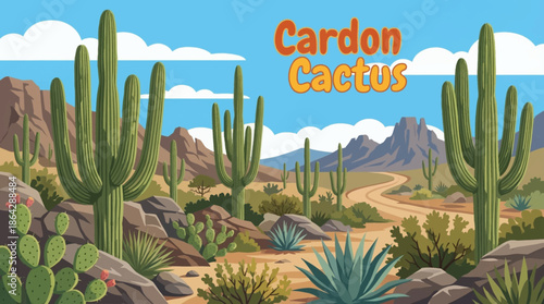 The massive cardon cactus dominates the Baja desert landscape, emphasizing scale, longevity, and structural adaptation to extreme arid climates