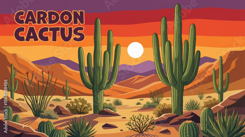 The massive cardon cactus dominates the Baja desert landscape, emphasizing scale, longevity, and structural adaptation to extreme arid climates