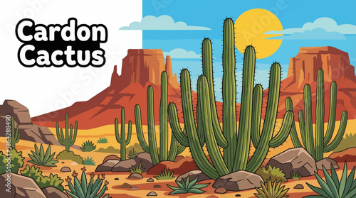 The massive cardon cactus dominates the Baja desert landscape, emphasizing scale, longevity, and structural adaptation to extreme arid climates