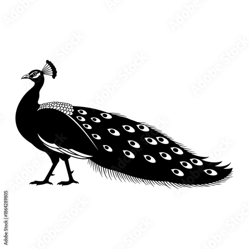Black silhouette of a peacock with elaborate tail feathers and crest bird black and white