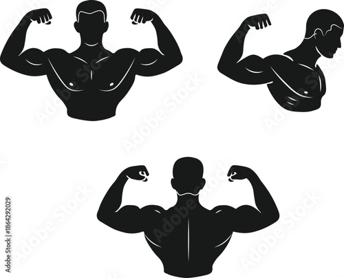 Muscular silhouettes demonstrating strength and fitness poses