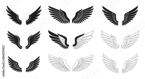 Comprehensive set of nine pairs of angel and bird wings in different artistic styles from solid black to line art.