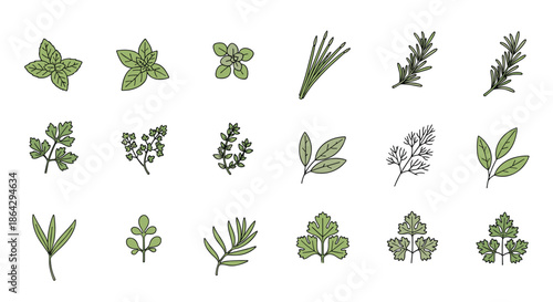 Variety of fresh culinary herb sprigs including mint, rosemary, parsley, and cilantro for cooking, gardening, and herbal remedy projects.