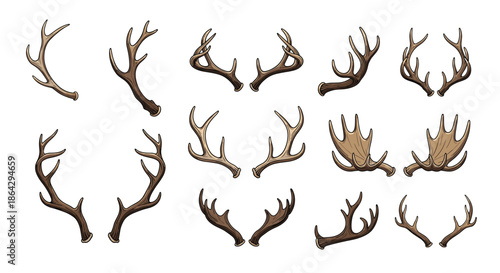 Variety of deer, elk, and moose antler illustrations for hunting trophies, woodland decor, and nature-themed graphic design projects.