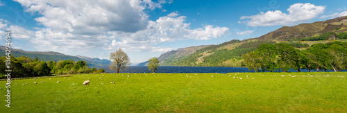 Photos Vue panoramique très large du Loch Ness depuis sa pointe sur, avec au premier pl